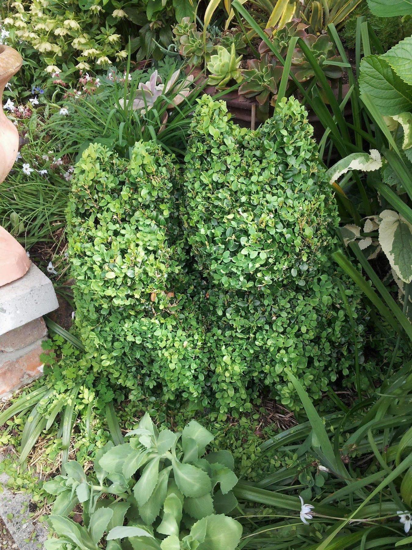 Topiary Haven Launceston Exterior photo